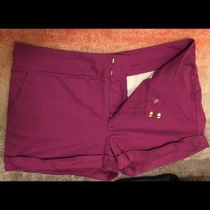 Sofia by Sofia Vergara Shorts - US 16 - Fuchsia